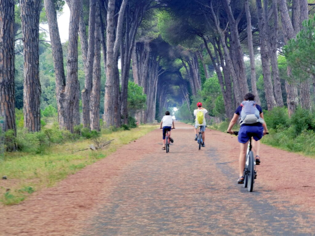 Die Viale del Gombo im San Rossore Park